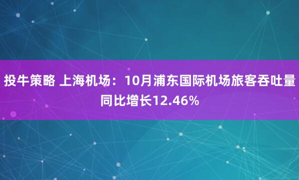 投牛策略 上海机场:10月浦东国际机场旅客吞吐量同比增长12.46%