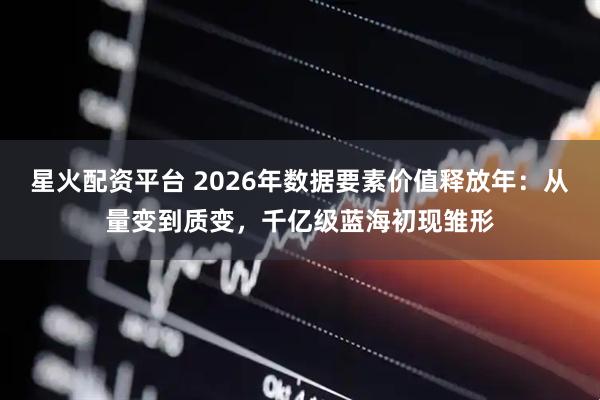 星火配资平台 2026年数据要素价值释放年：从量变到质变，千亿级蓝海初现雏形